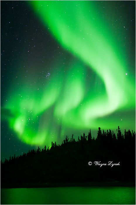 Aurora Borealis 117 by Dr. Wayne Lynch ©